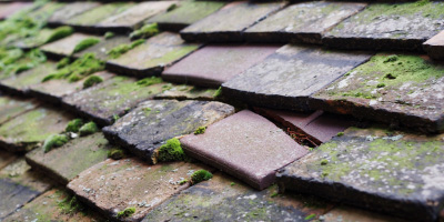 Cheswardine roof repair costs